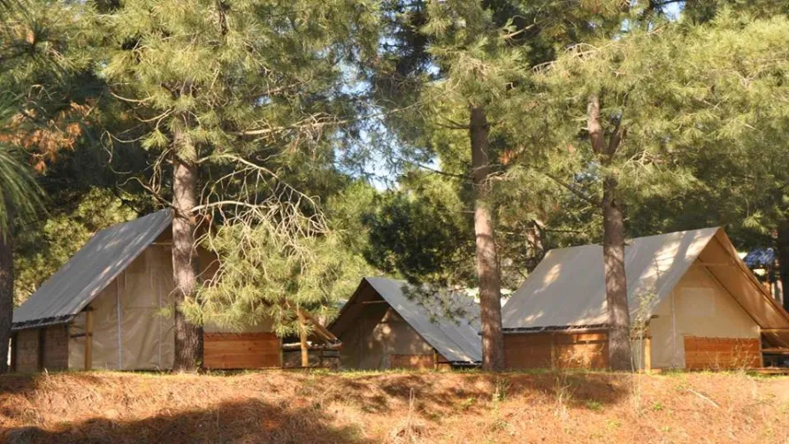 Camping OLVA LES EUCALYPTUS