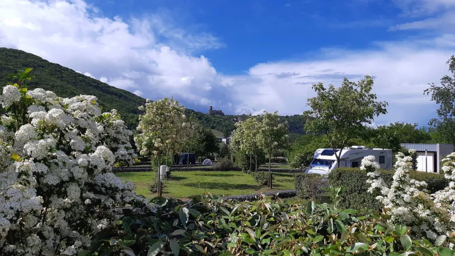 Camping Onlycamp Volvic Pierre & Sources