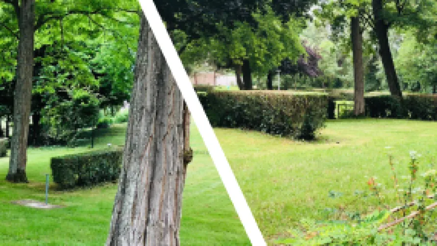 Camping Onlycamp de la Roseraie