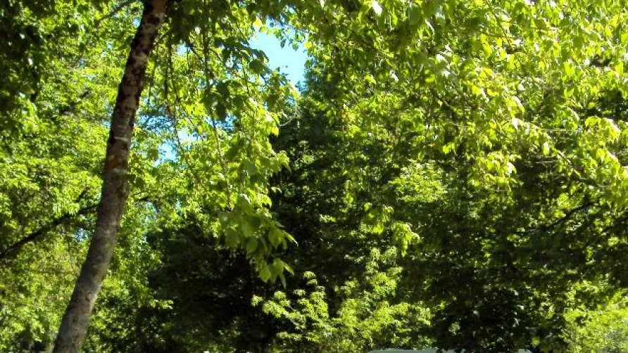 Camping Onlycamp de l'Argenté