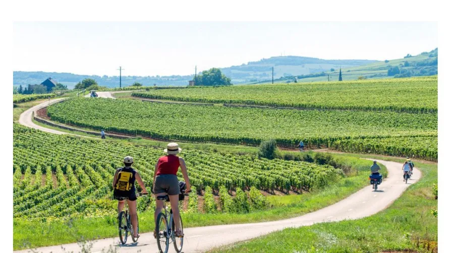 Camping Onlycamp Les Premières Vignes