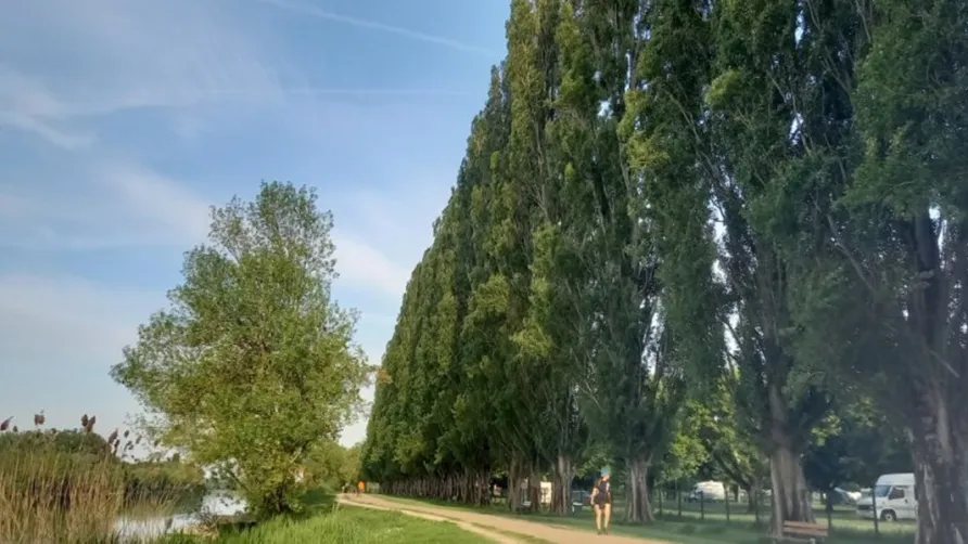Camping Onlycamp La Gâtine