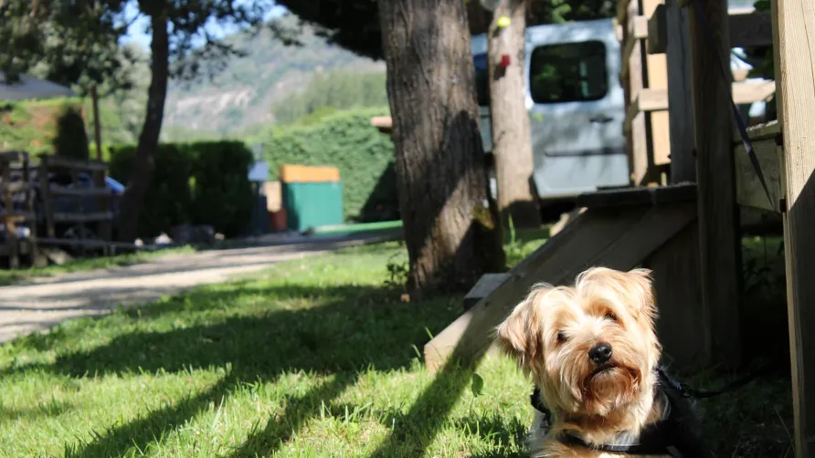 Camping Le Taranis (anciennement La Resclauze)