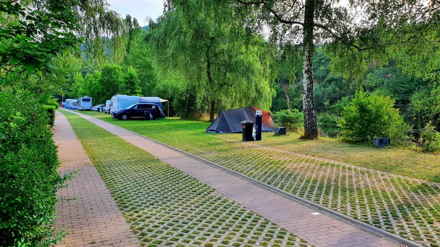 Camping Vallée de l'Our s.a.r.l.
