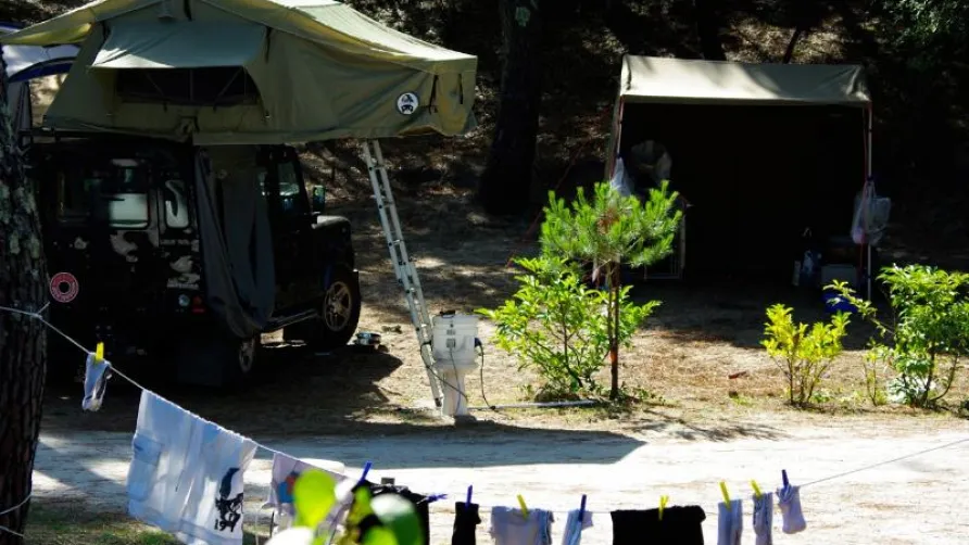 Nicoll's Camp/Pins