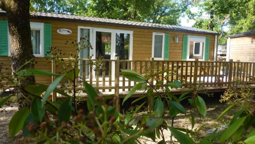 Nicoll's Camp/Pins