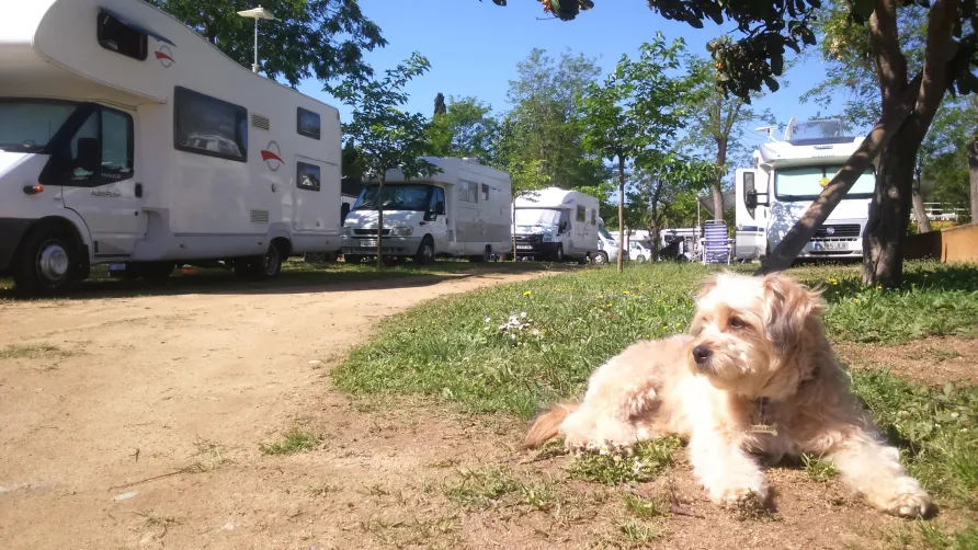 Camping Lloret Blau