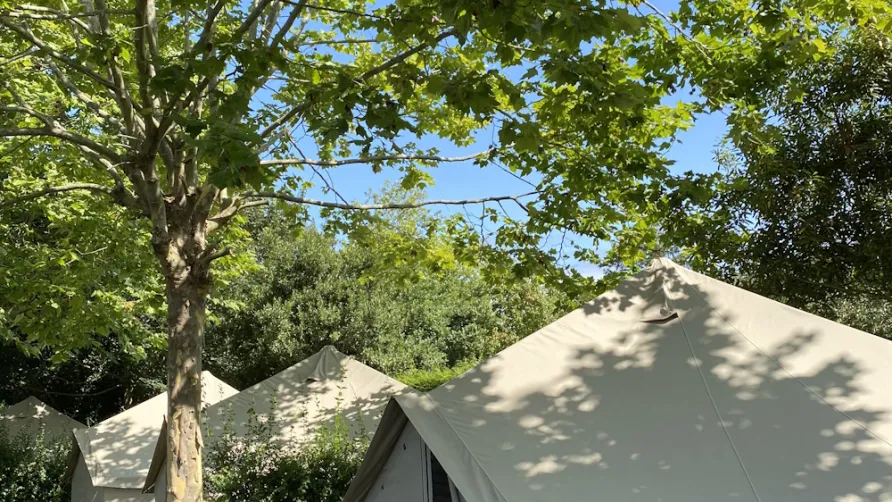 Wecamp Cudillero