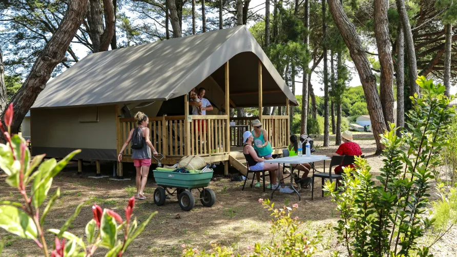 Flower Camping Tamarins Plage