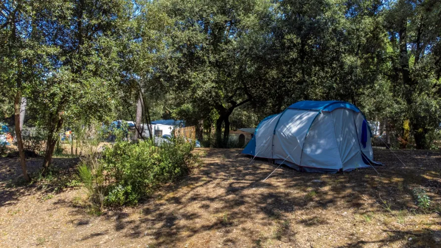 Flower Camping Monplaisir
