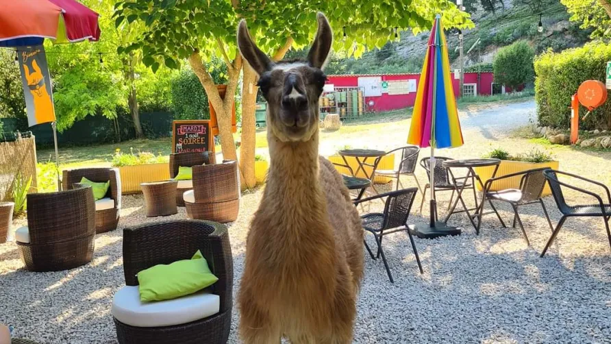 Camping La Gantesse