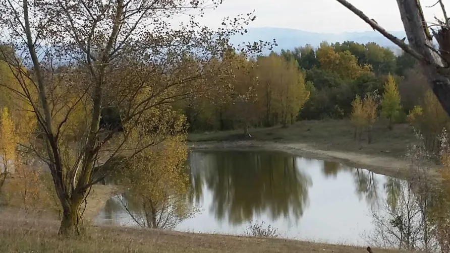 Camping aux 4 vues