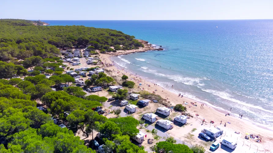Camping Las Palmeras