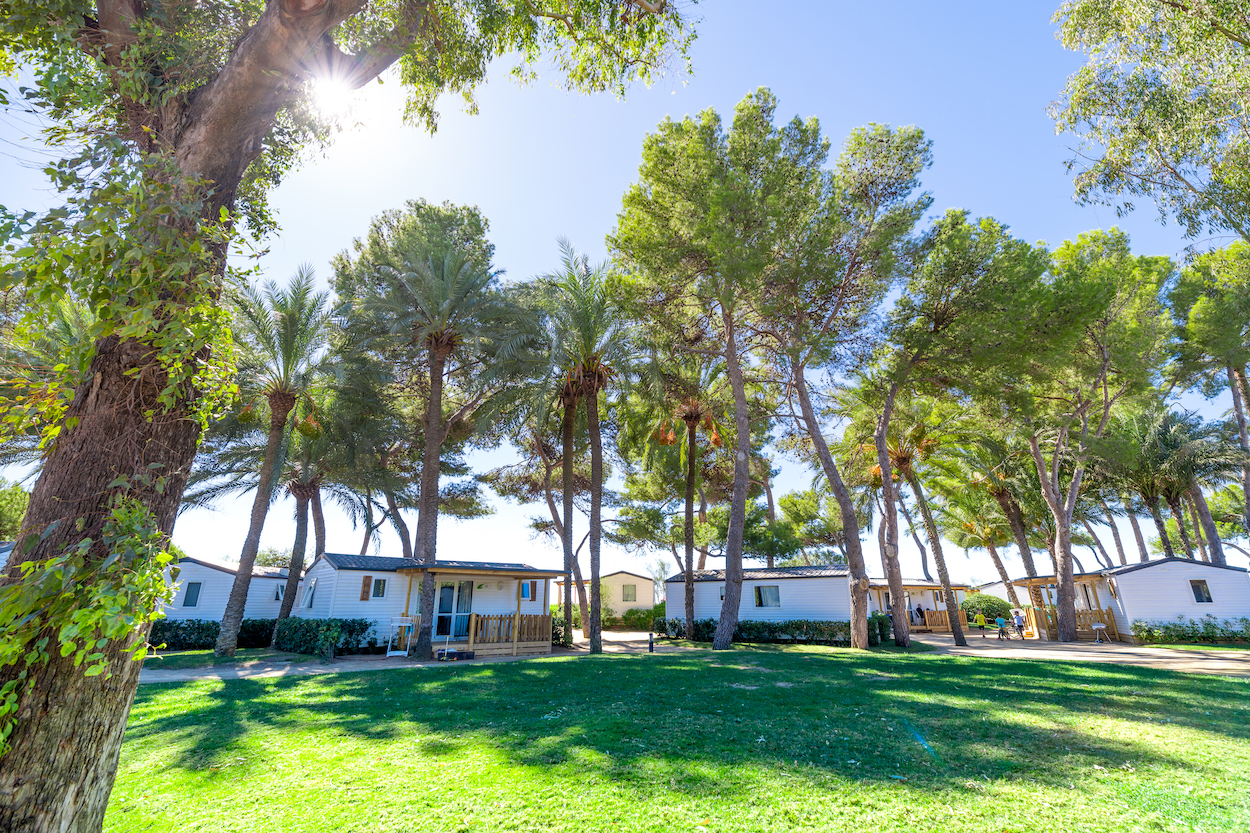 Camping Las Palmeras