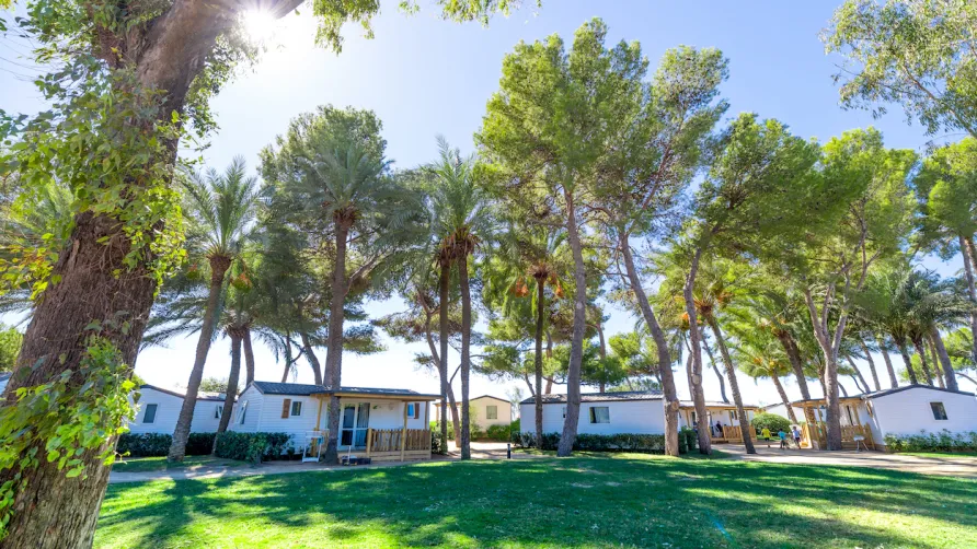 Camping Las Palmeras