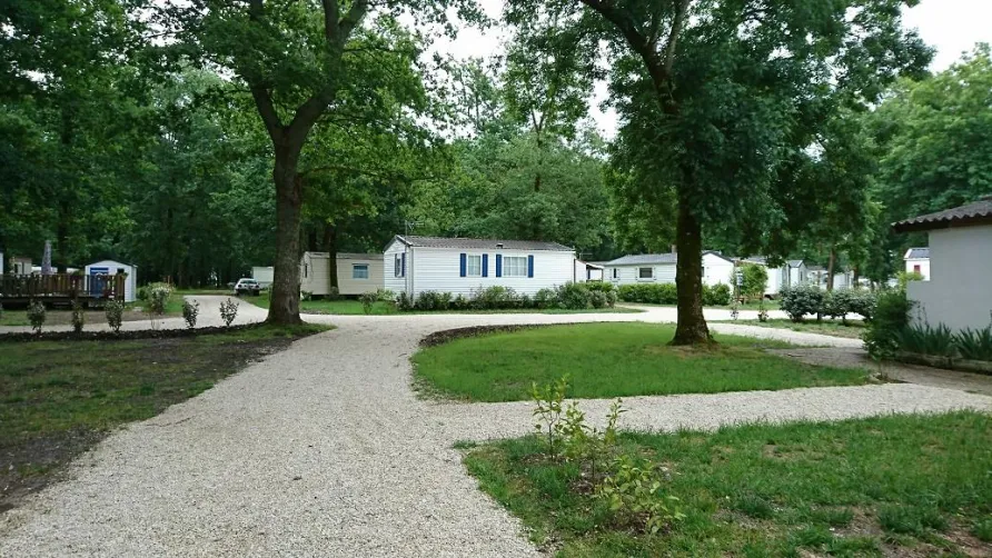 Camping BOIS DE LA CHASSE