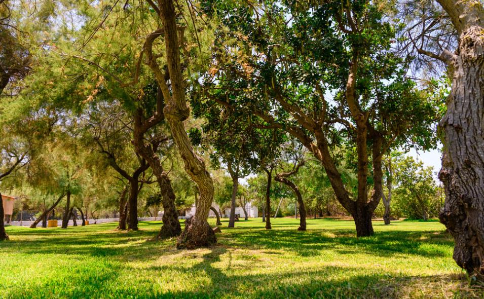 Camping La Masseria