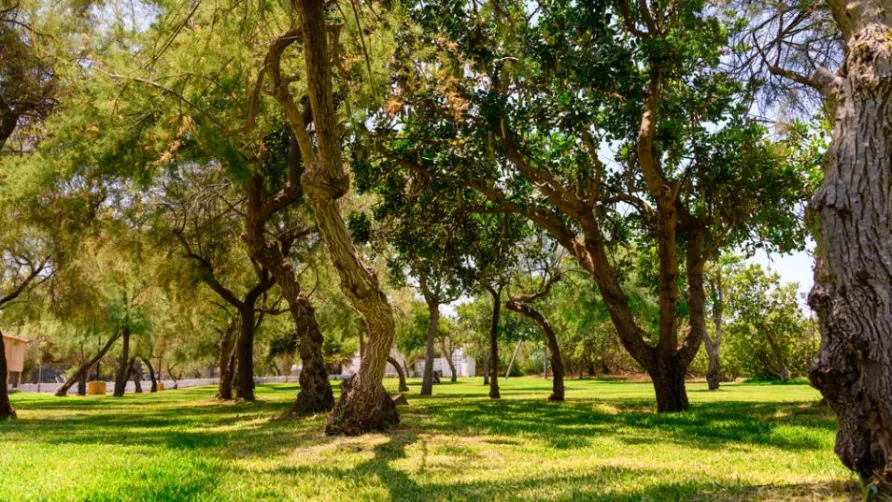 Camping La Masseria