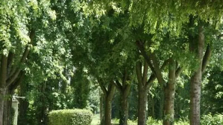 Camping Onlycamp de la Vègre