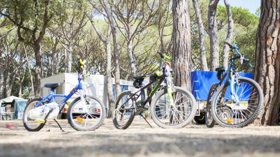 Camping Riembau