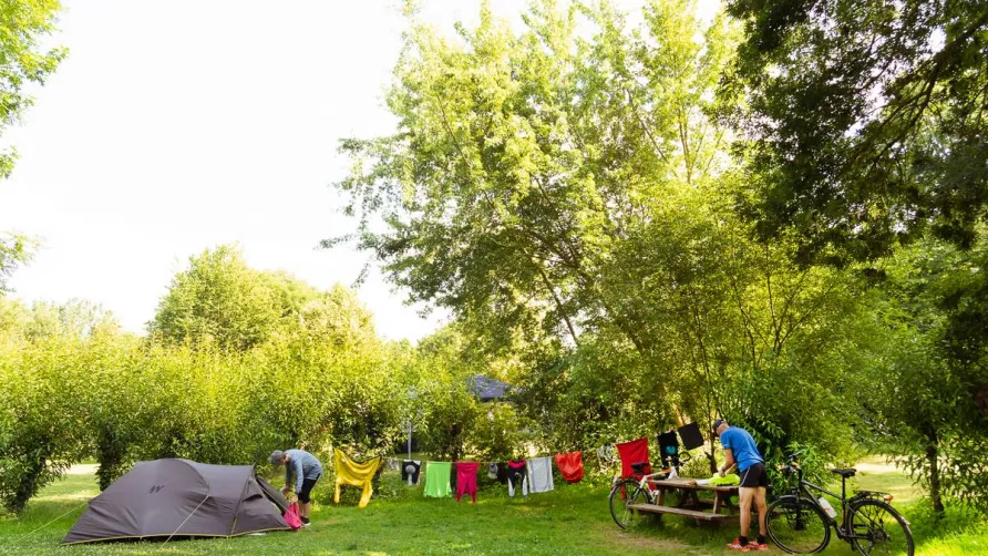 Flower Camping Du Canal