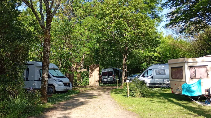 Flower Camping Du Canal