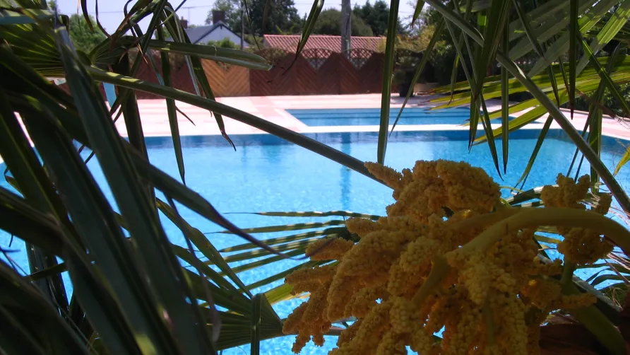 Camping le Marais Neuf