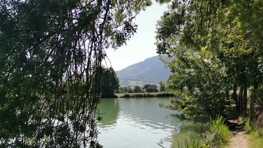 Camping du Lac de Fontclaire