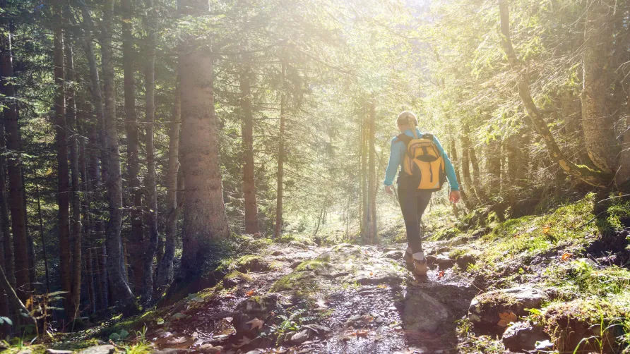 Lodg'ing - Nature Camp Ardennes