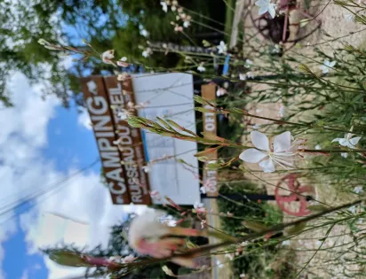 Camping Ruisseau du Treil
