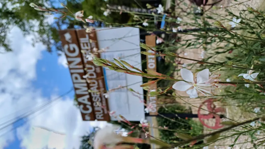 Camping Ruisseau du Treil