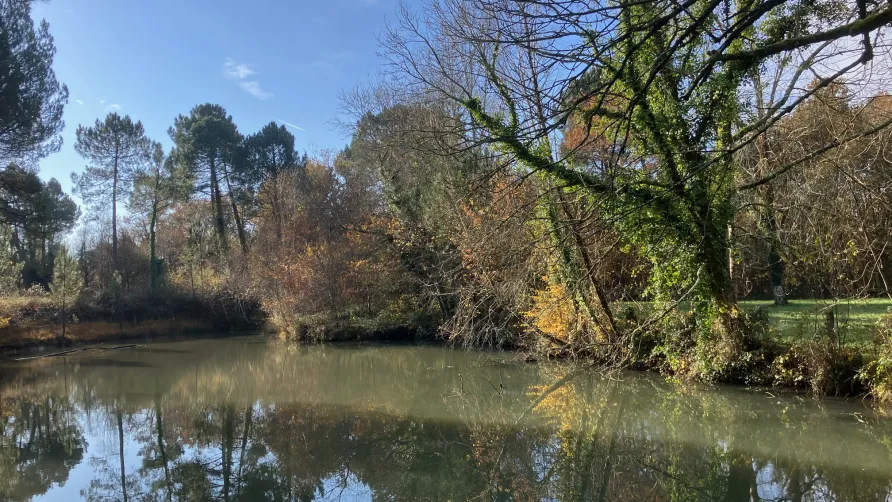 Plein Air Locations - Domaine du Lac