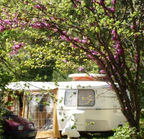 Camping Le Luberon