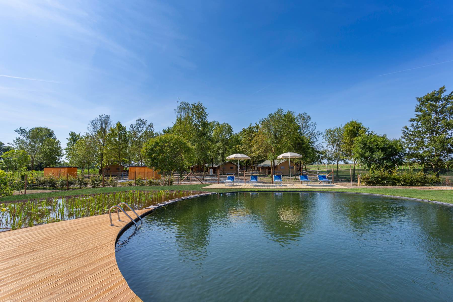 Tenuta Regina Agriturismo e Glamping