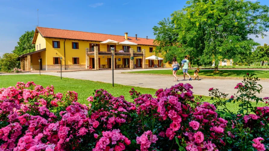Tenuta Regina Agriturismo e Glamping