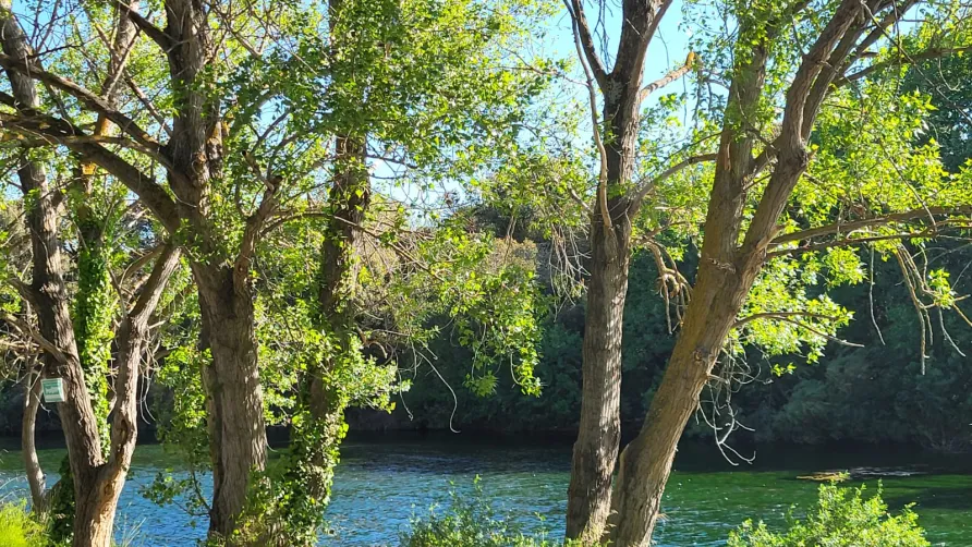 Camping Le Val de Cesse