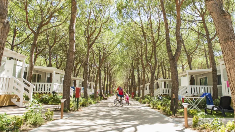 Salinello Village