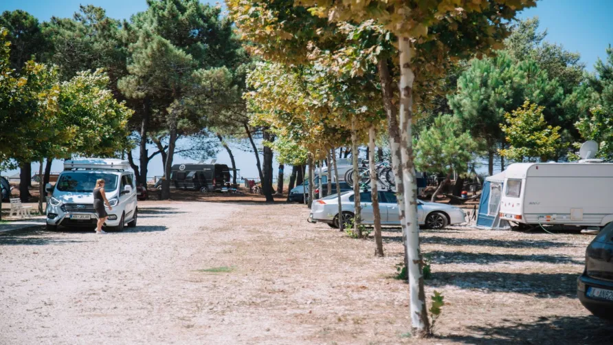 MCM Beach & Camping