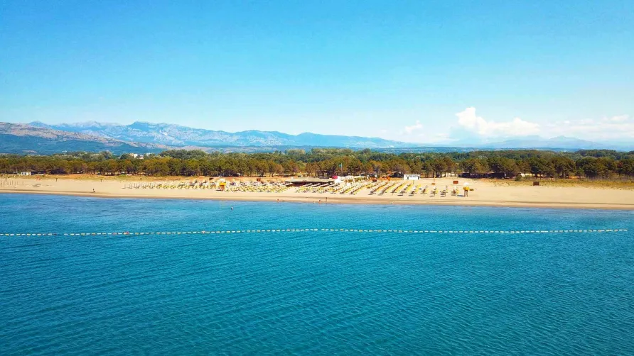 MCM Beach & Camping