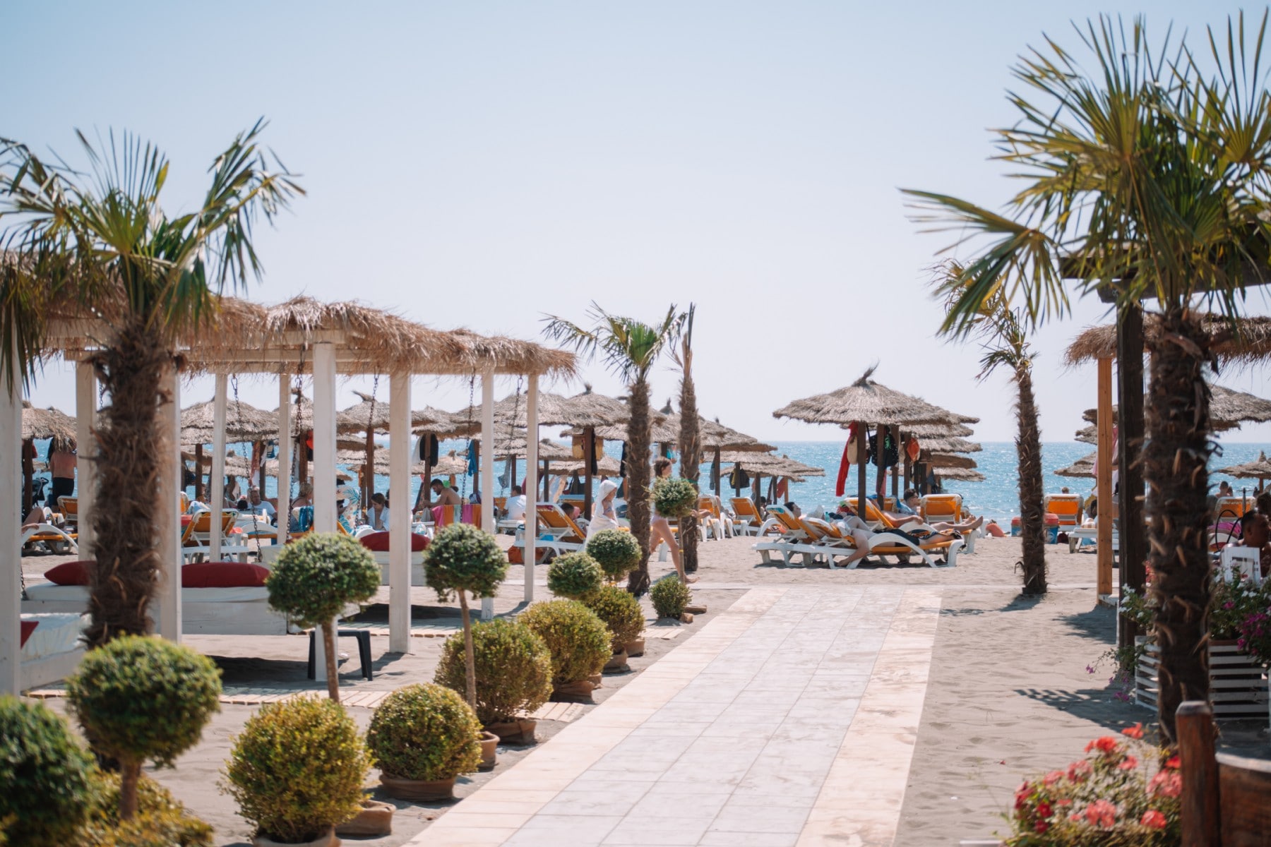 MCM Beach & Camping