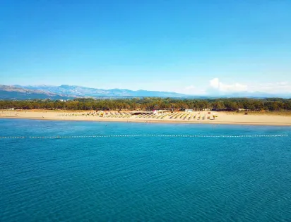MCM Beach & Camping