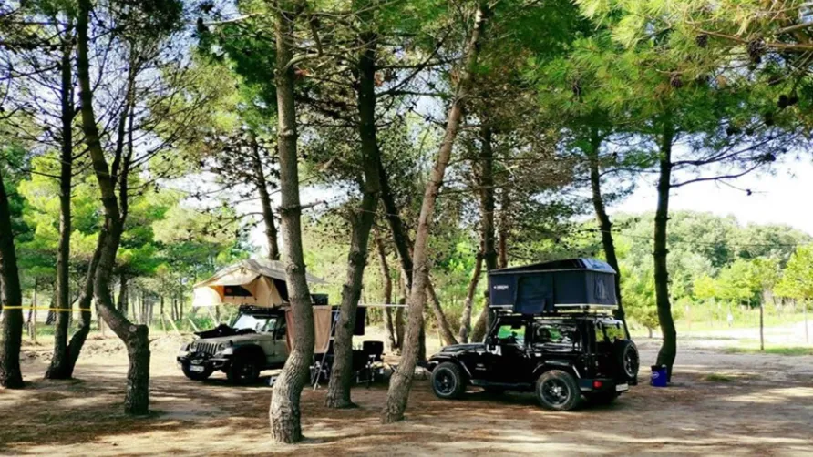MCM Beach & Camping