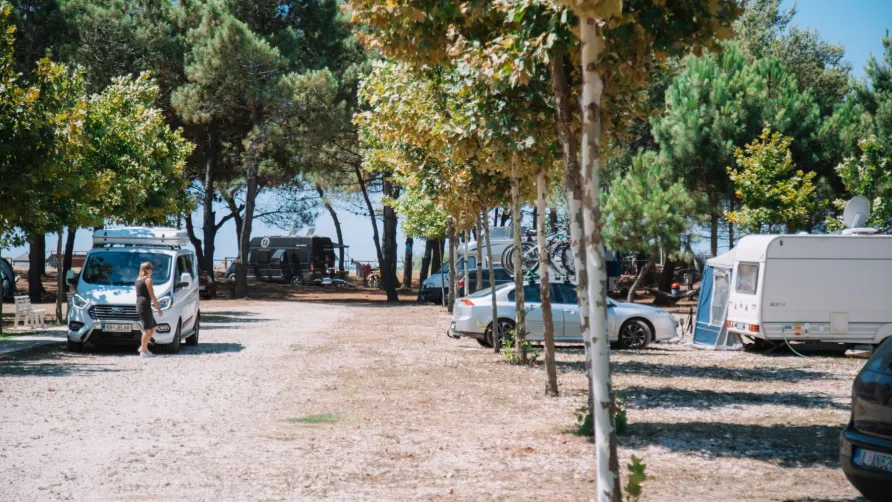 MCM Beach & Camping