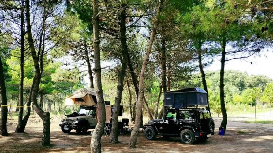 MCM Beach & Camping