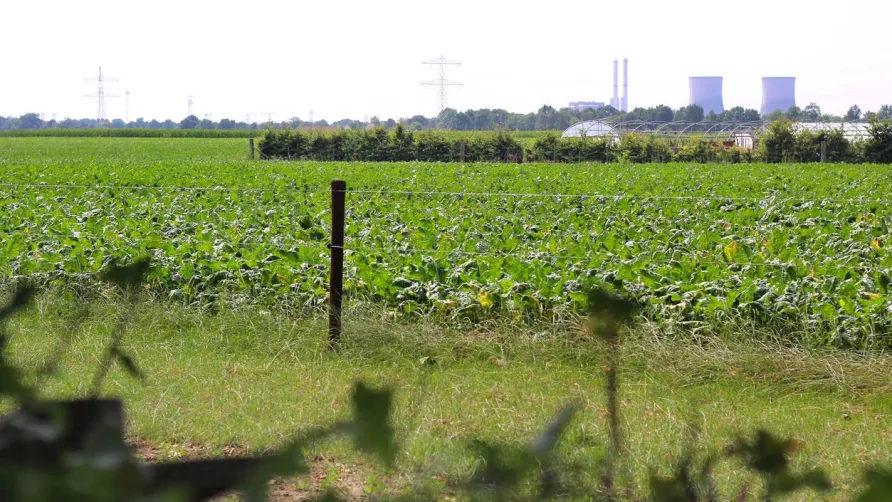 Hoeve Linnerveld