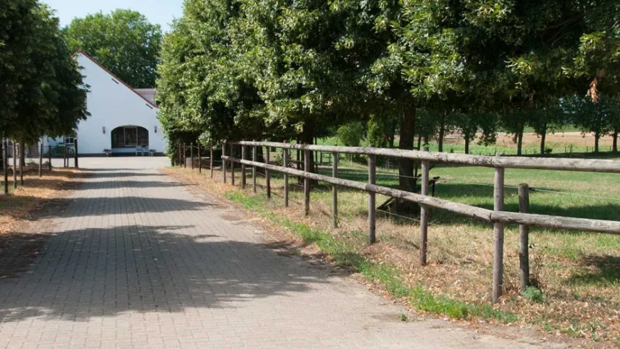 Hoeve Linnerveld
