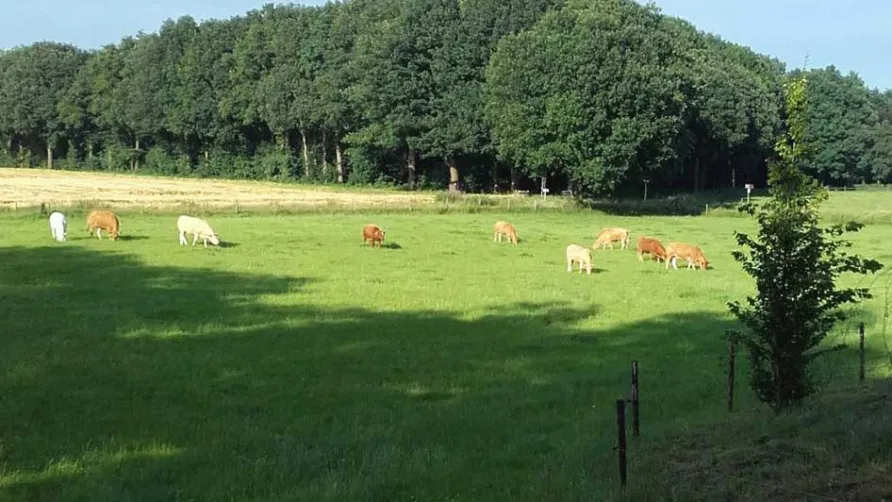 Hoeve Linnerveld