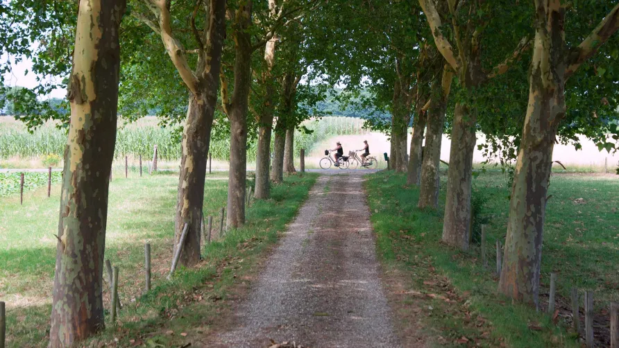 Hoeve Linnerveld