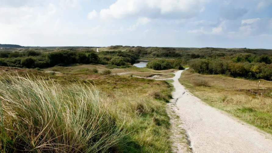 Camping Aan Noordzee