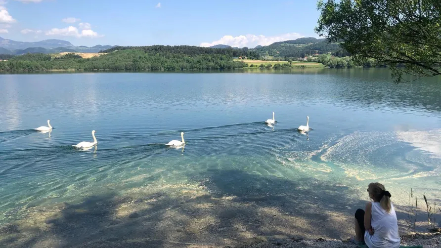 Camp Velenje